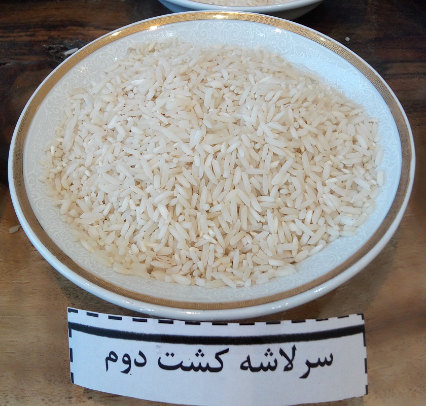 برنج سرلاشه کشت 2 فریدونکنار معطر و ممتاز- ده کیلویی