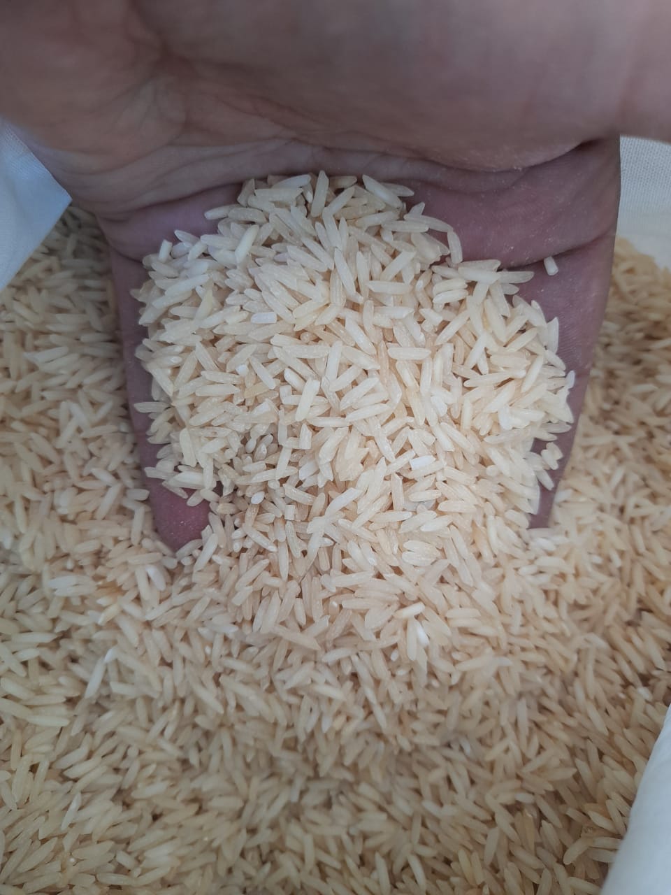 برنج دودی آستانه اشرفیه 10 کیلویی