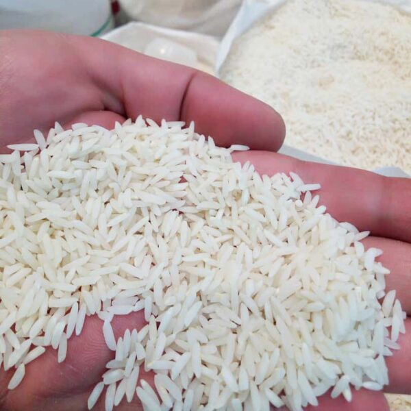 برنج هاشمی تن تنانی – 10 کیلوگرم