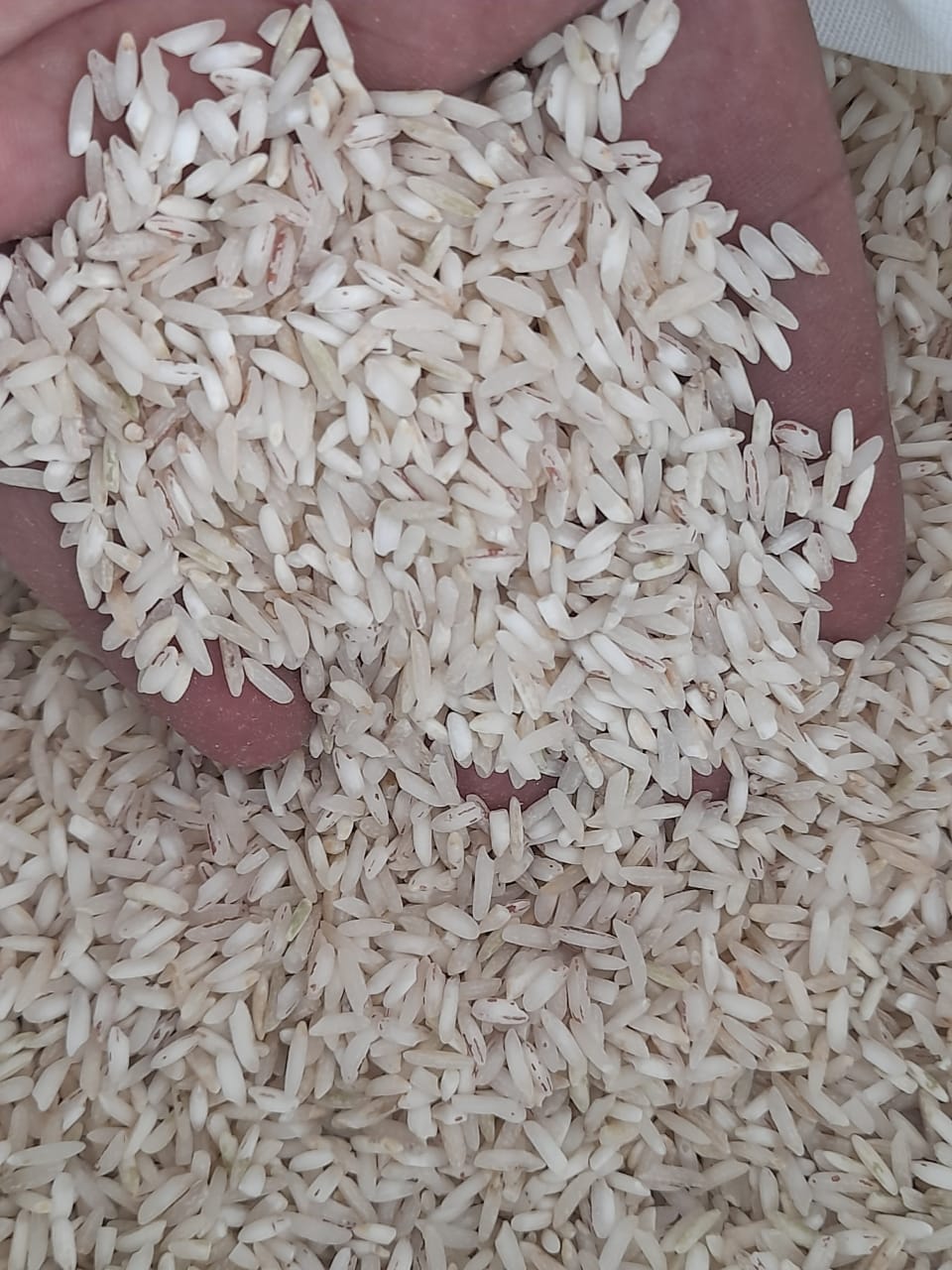 برنج طارم سبوس دار فریدونکنار10کیلوگرم
