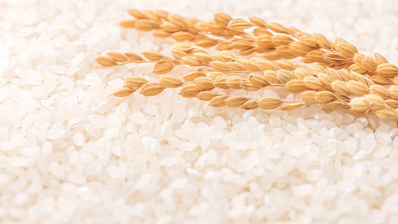 AdobeStock 302891738 scaled 1 - همه چیز درباره برنج سرلاشه