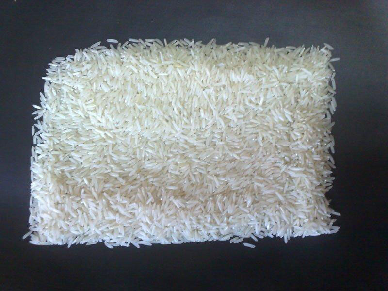 D 98 Basmati Rice 1 1 - 5 نکته‌ای که باید برای قد کشیدن برنج رعایت کنیم