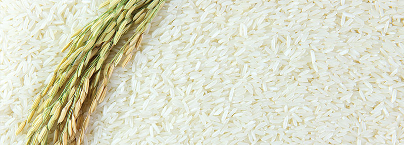 est web header template rice2 - مناسب‌‌ترین انواع برنج برای مهمانی‌ها چیست؟