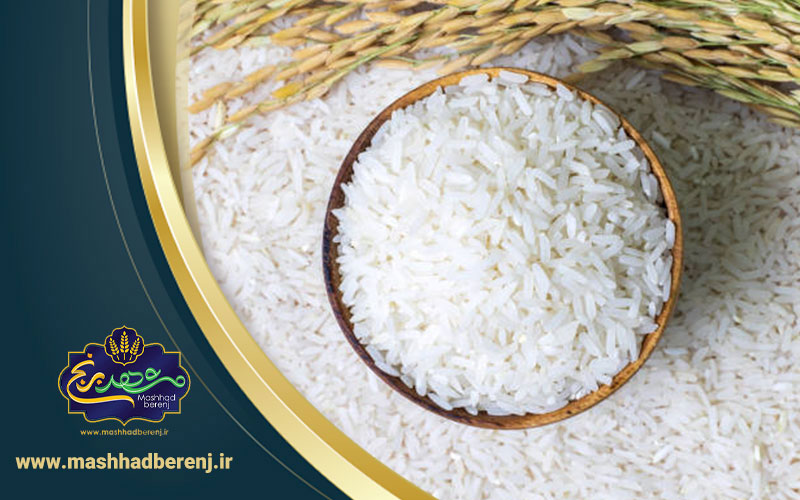 16 - معرفی برنج فریدون‌کنار