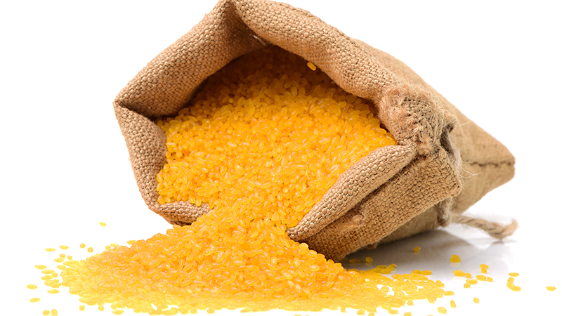 GoldenRiceforHomePage - تشخیص برنج اصلی از تقلبی