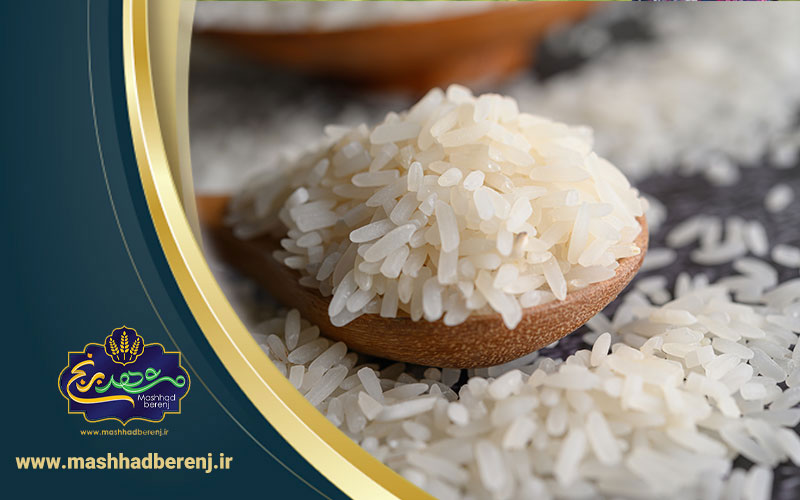 38 1 - خواص برنج برای جلوگیری از سرطان