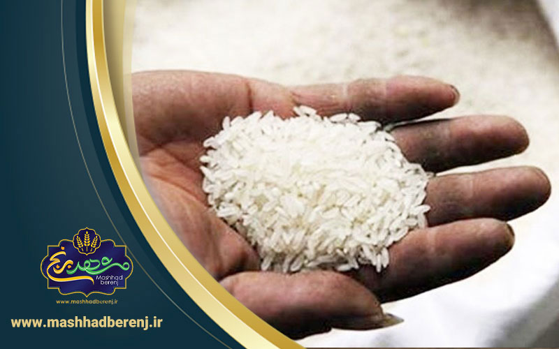 6 - کدام برنج ایرانی قد می‌کشد
