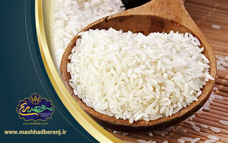 20 - انواع برنج شمال