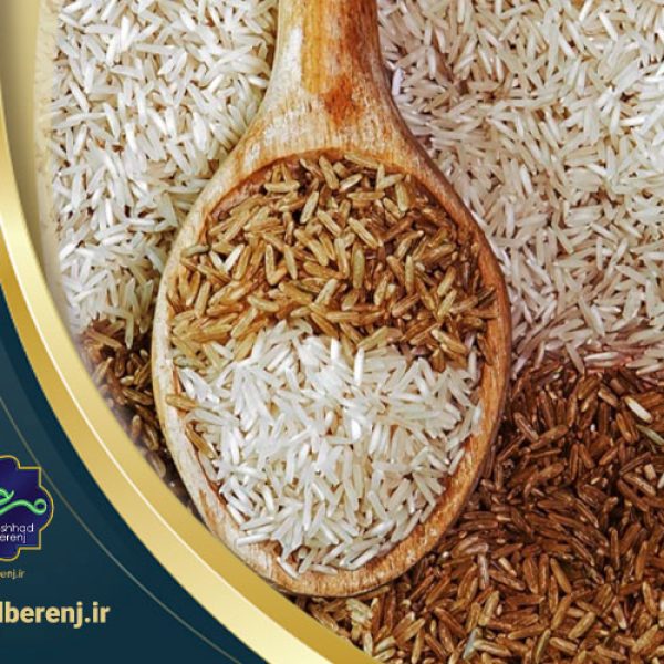 بزرگ ترین تولیدکننده برنج دنیا