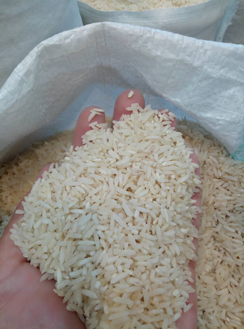برنج سرلاشه کشت 2 فریدونکنار معطر و ممتاز- ده کیلویی
