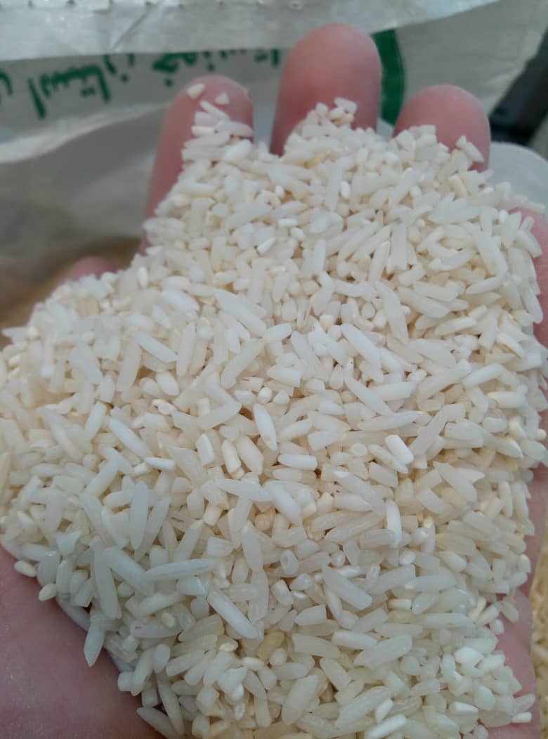 برنج سرلاشه فجر اعلاء شمال – کشت و صنعت تن تنانی