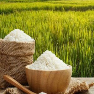 rice3 300x300 - راه‌ های تشخیص برنج کهنه از تازه