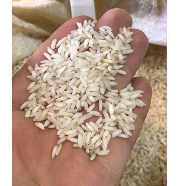 برنج عنبربو رستگار جدید