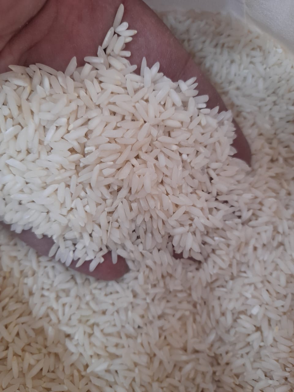 برنج طارم صدری کیسه ده کیلوگرم