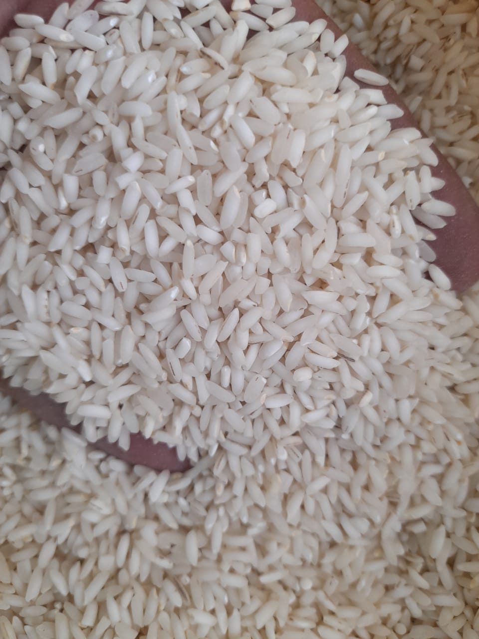 برنج عنبربو جنوب رضوان 10کیلوگرم