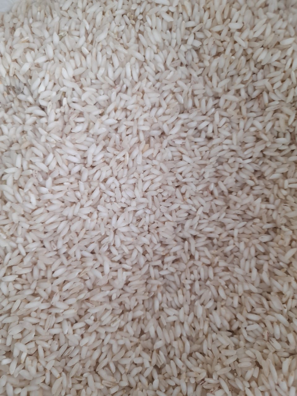 برنج عنبربو جنوب بی نظیر 10 کیلوگرم