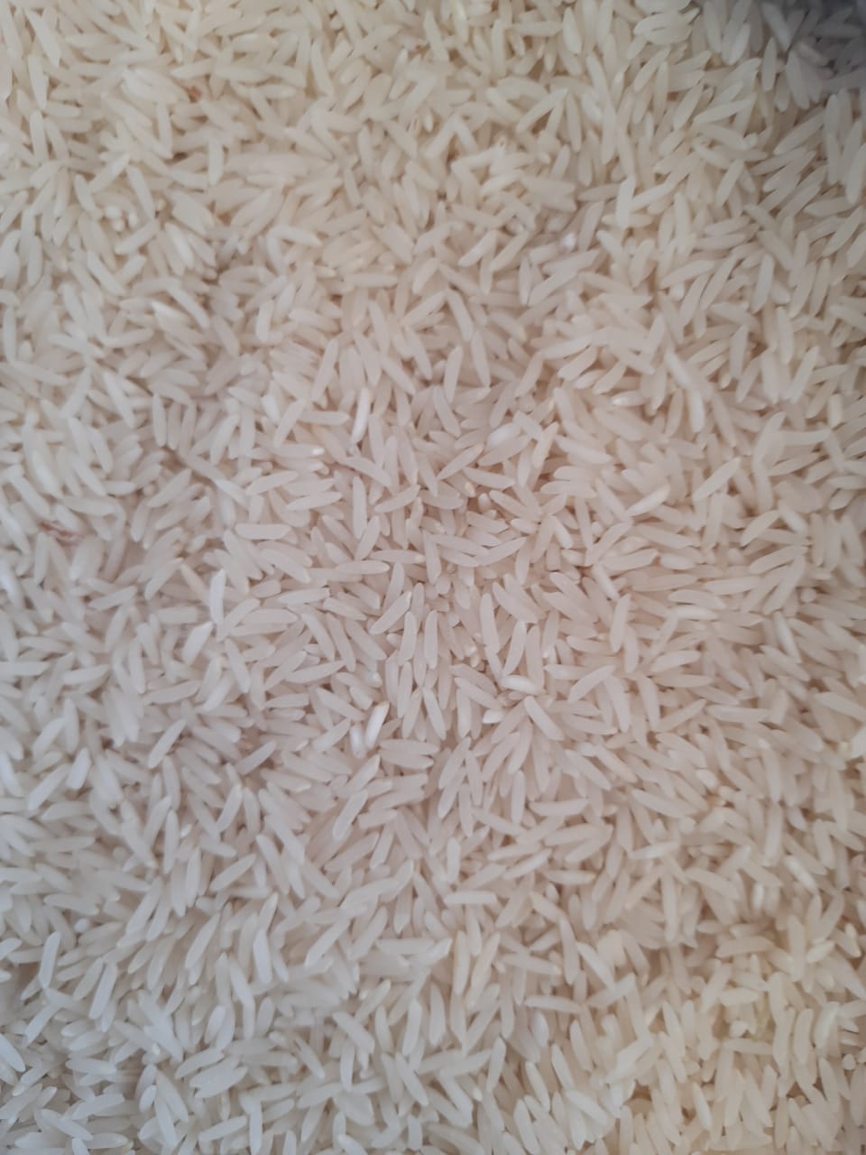 برنج فجر طلایی 10کیلوگرم
