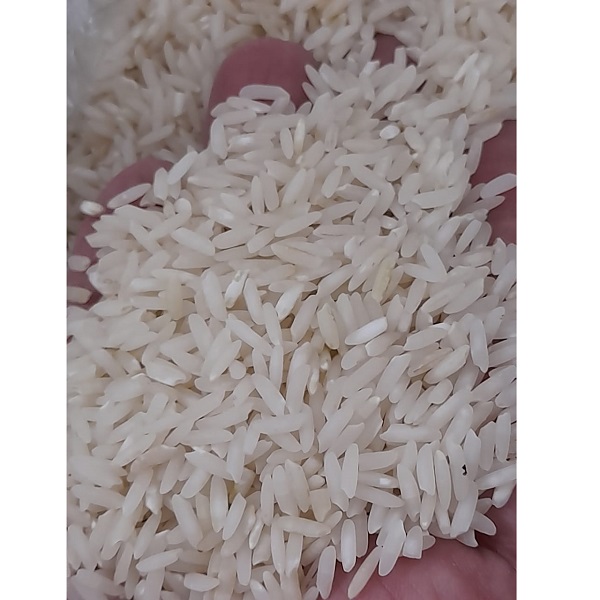 برنج طارم فریدونکنار کشت دوم مشهدبرنج کیسه ده کیلوگرم