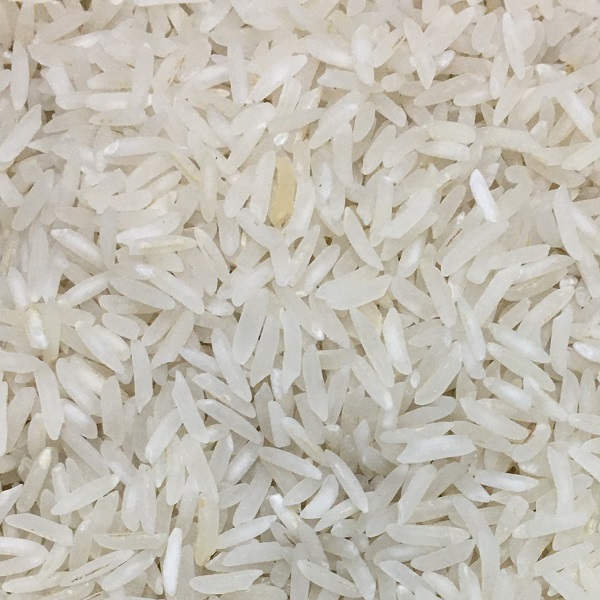IMG 0240 - مشهد برنج