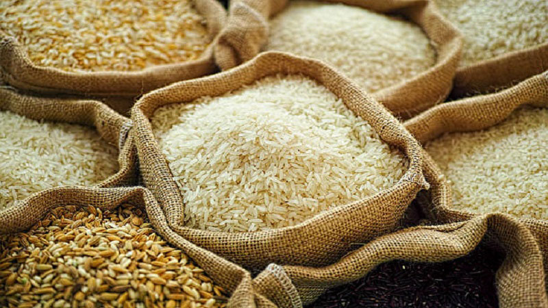 Rice Export to China - با انواع برنج در دنیا آشنا شوید