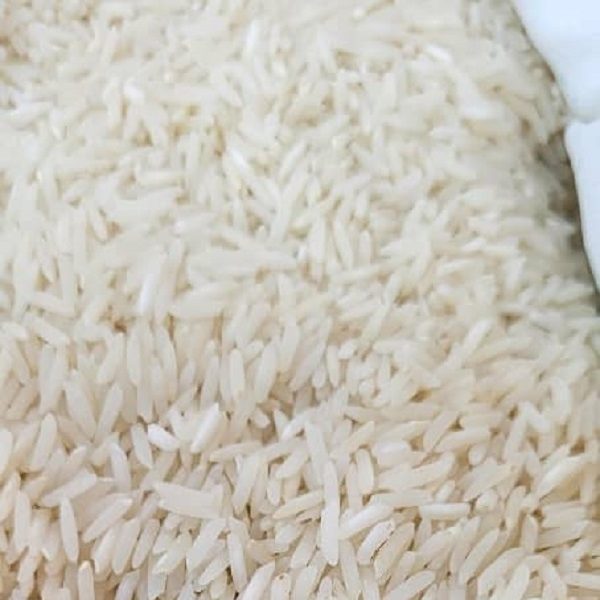 برنج کشت دوم درجه یک فریدونکنار کیسه ده کیلوگرم