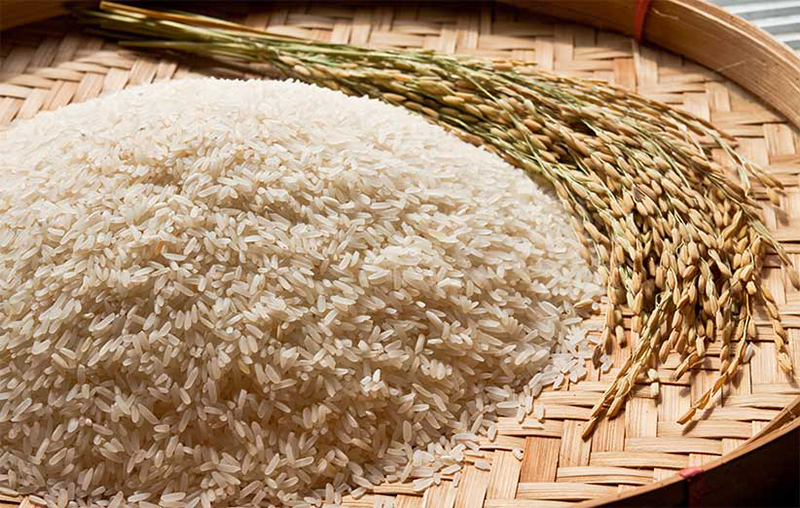 برنج - بهترین روش پخت برنج