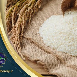 معرفی برنج فریدون‌کنار