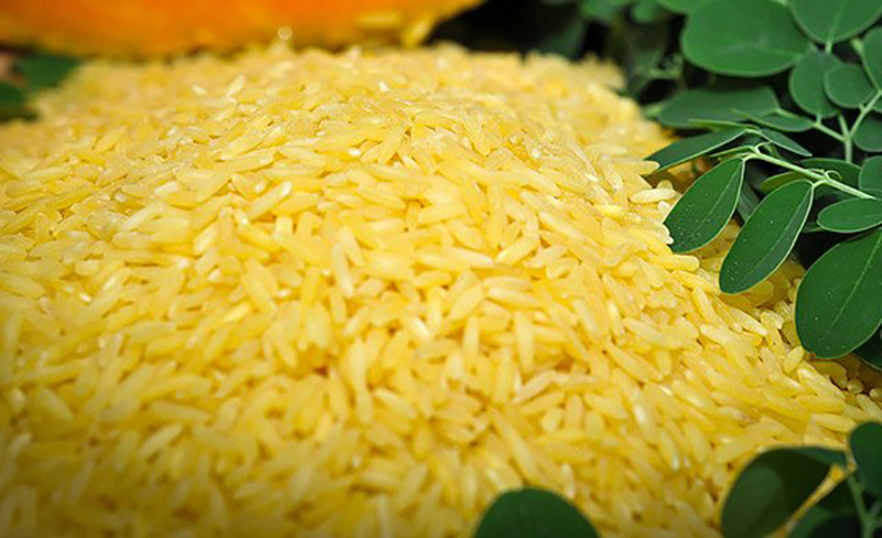 تشخیص برنج اصلی از تقلبی