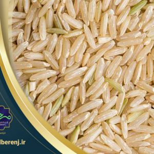 برنج پاکستانی تراریخته