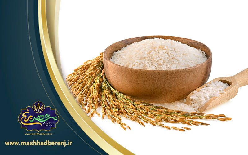 22 1 - برنج هندی بخریم یا پاکستانی