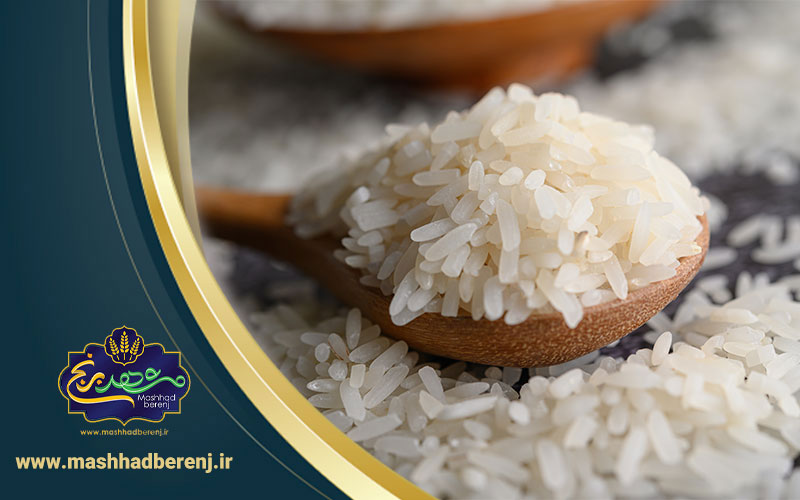 10 1 - آیا برنج پاکستانی ضرر دارد؟ عوارض برنج پاکستانی چیست؟
