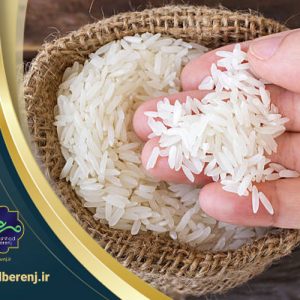 49 1 300x300 - کدام برنج ایرانی قد می‌کشد