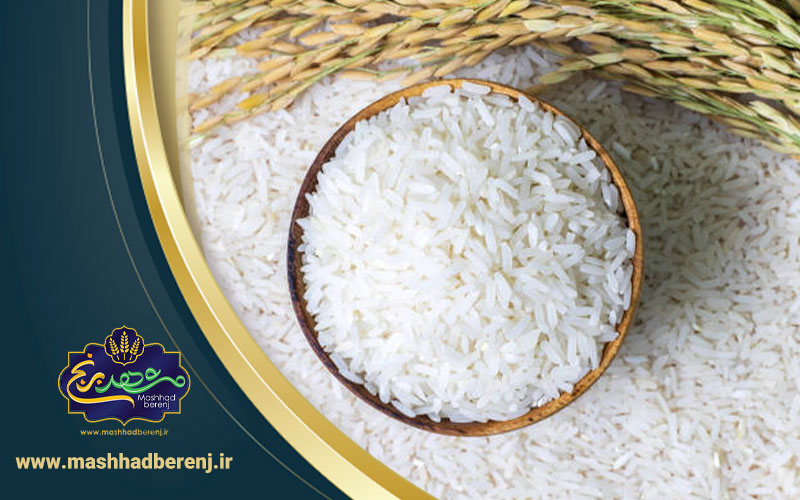 انواع برنج شمال