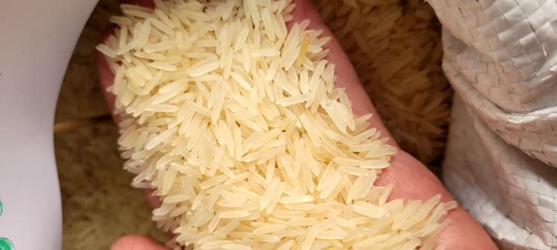 برنج پاکستانی دانه بلند کمال ملکی کیسه ده کیلوگرمی