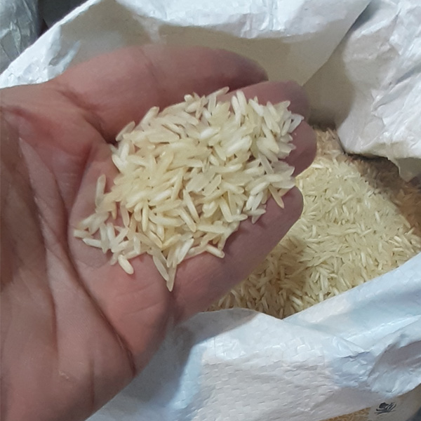 برنج هندی دانه بلند دونه طلا 1121
