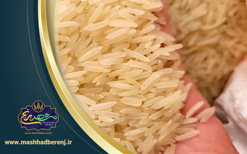 20 1 - مراحل کشت برنج در شمال