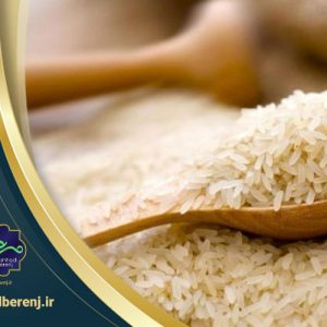 برنج خزر چیست؟
