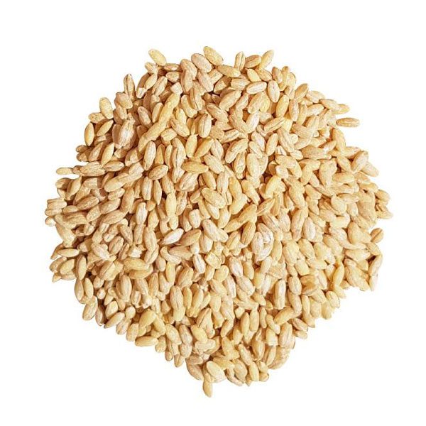 پوست کنده 1 600x600 - مشهد برنج