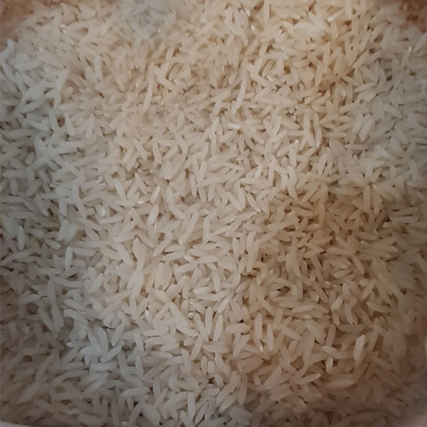 برنج طارم محلی کشت دوم خوشه زرین کیسه ده کیلوگرمی