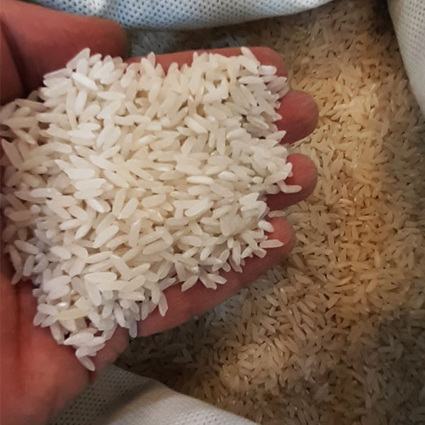 برنج پاکستانی ورتاج کیسه ده کیلوگرمی