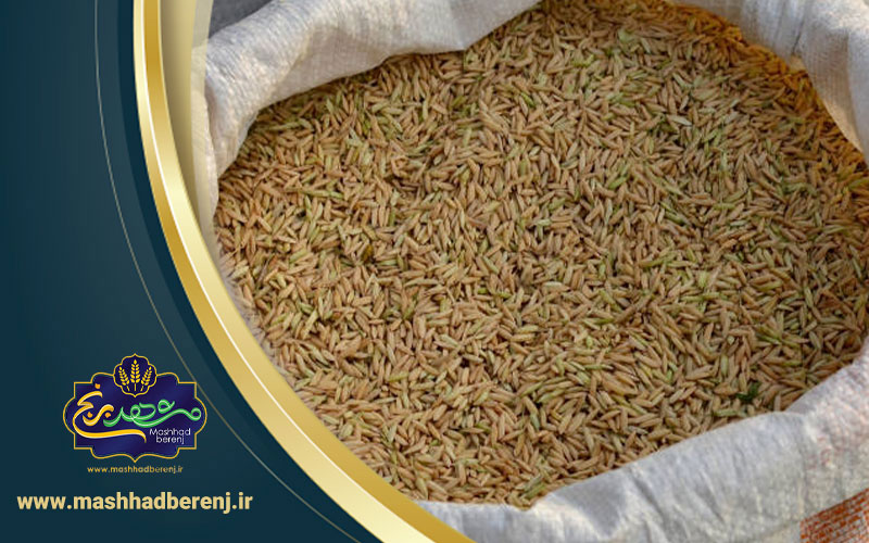 6 1 - مهم‌ترین نکته در مورد فواید روغن سبوس برنج