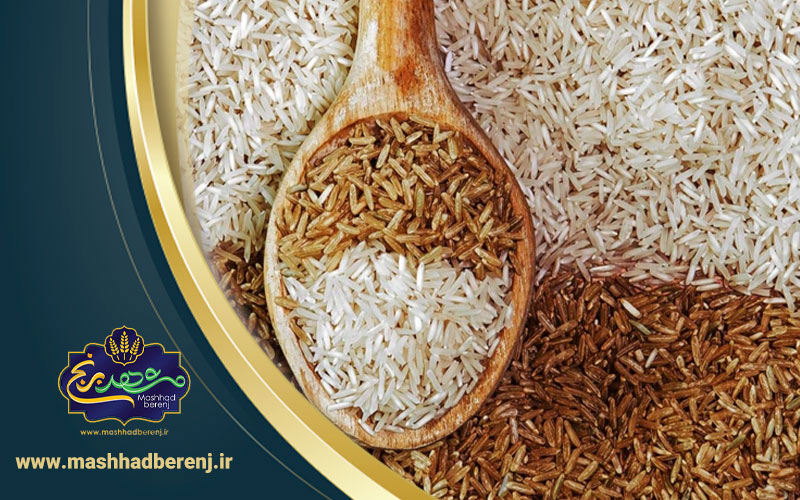 بزرگ ترین تولیدکننده برنج دنیا
