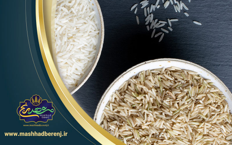 12 1 - همه چیز در مورد شپشک برنج + راهکار از بین بردن