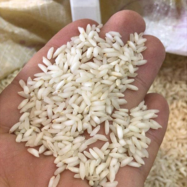 برنج ایرانی عنبربو طبیعت کیسه ده کیلوگرمی