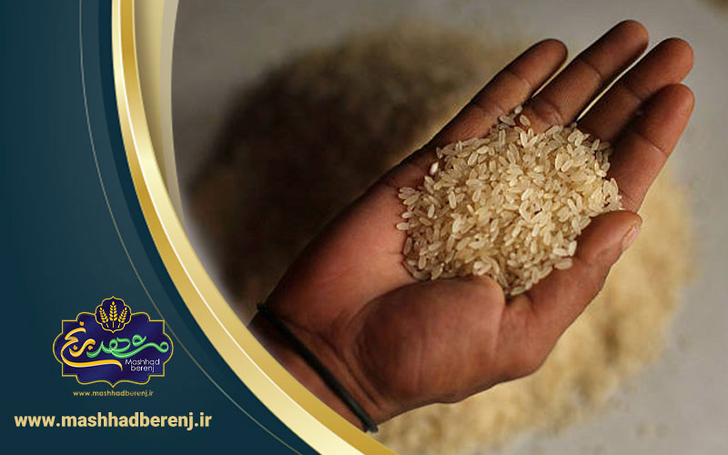 تشخیص اصالت برنج