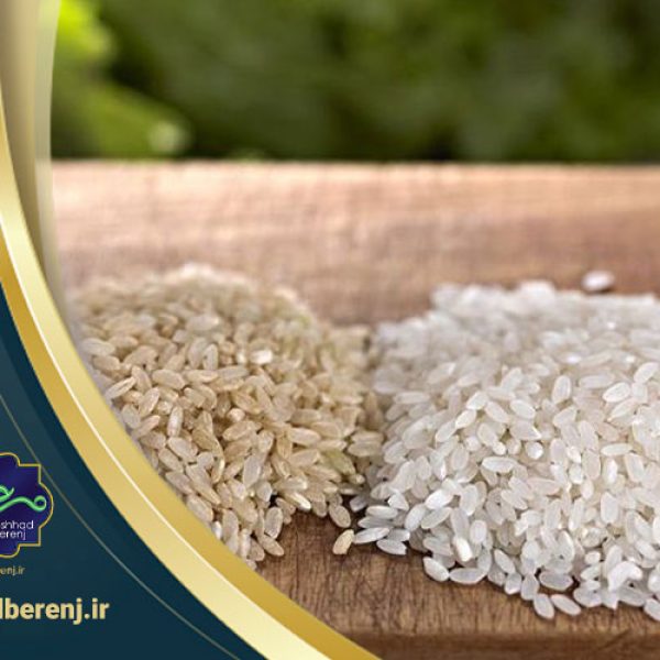 تفاوت بین برنج ایرانی و باسماتی چیست؟