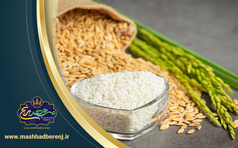 موارد مصرف برنج صدری؛ روش کاشت و برداشت