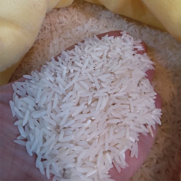 برنج ایرانی فجر طلایی تن تنانی کیسه ده کیلوگرمی